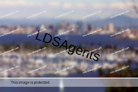 san_diego_skyline