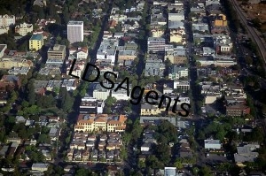 palo alto cropped
