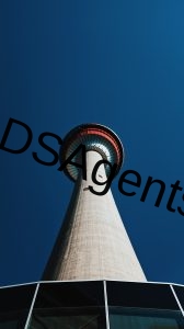 blake-guidry-qO4ldumCsRU-unsplash (1)