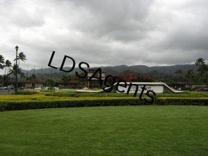 4550243664_5d99c10782_b