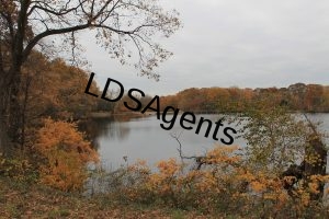 8270196424_89e5893652_b