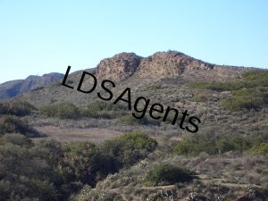 Lizard_Rock,_Wildwood_Canyon,_Thousand_Oaks,_CA