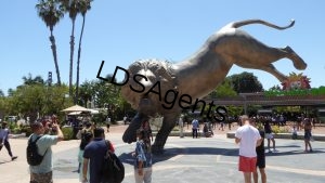 San_Diego_Zoo_-_Rex’s_Roar_2