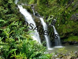 beautiful-waterfalls-in-hawaii