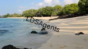 images (3)