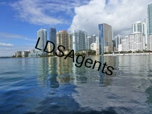 miami-50558_1280