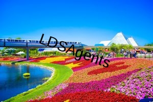 parks-2090602_1280