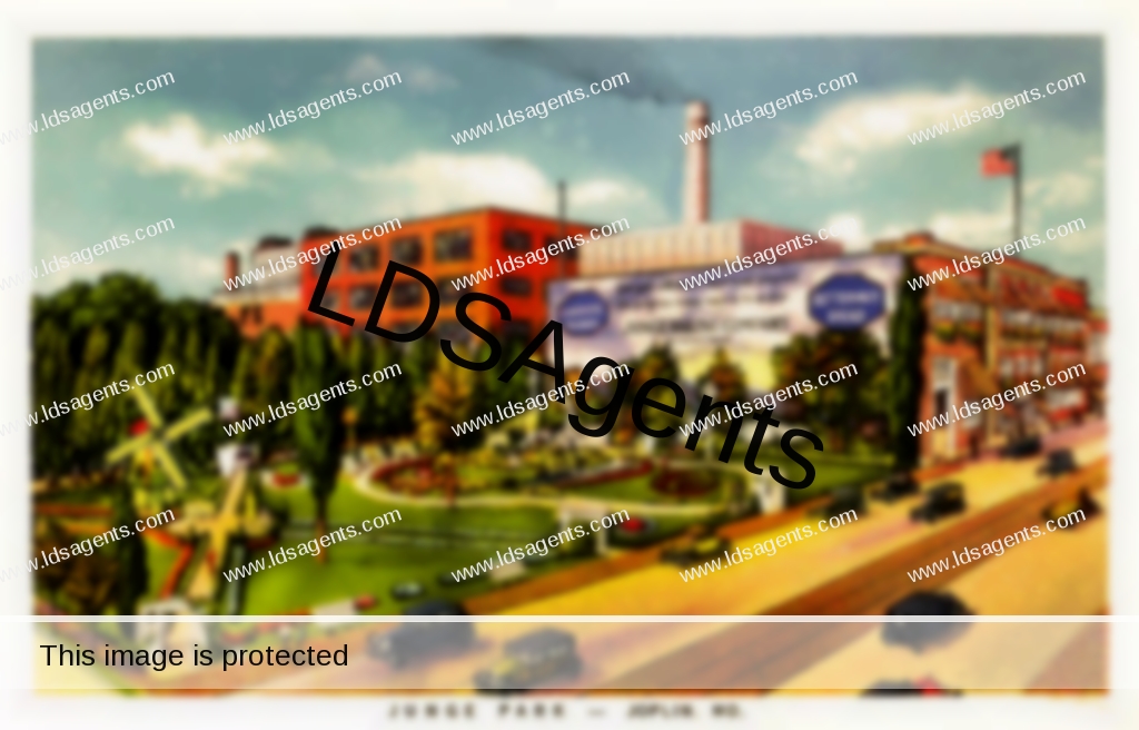 Junge_Park_in_Joplin,_Missouri_–_1931_(51697874876)